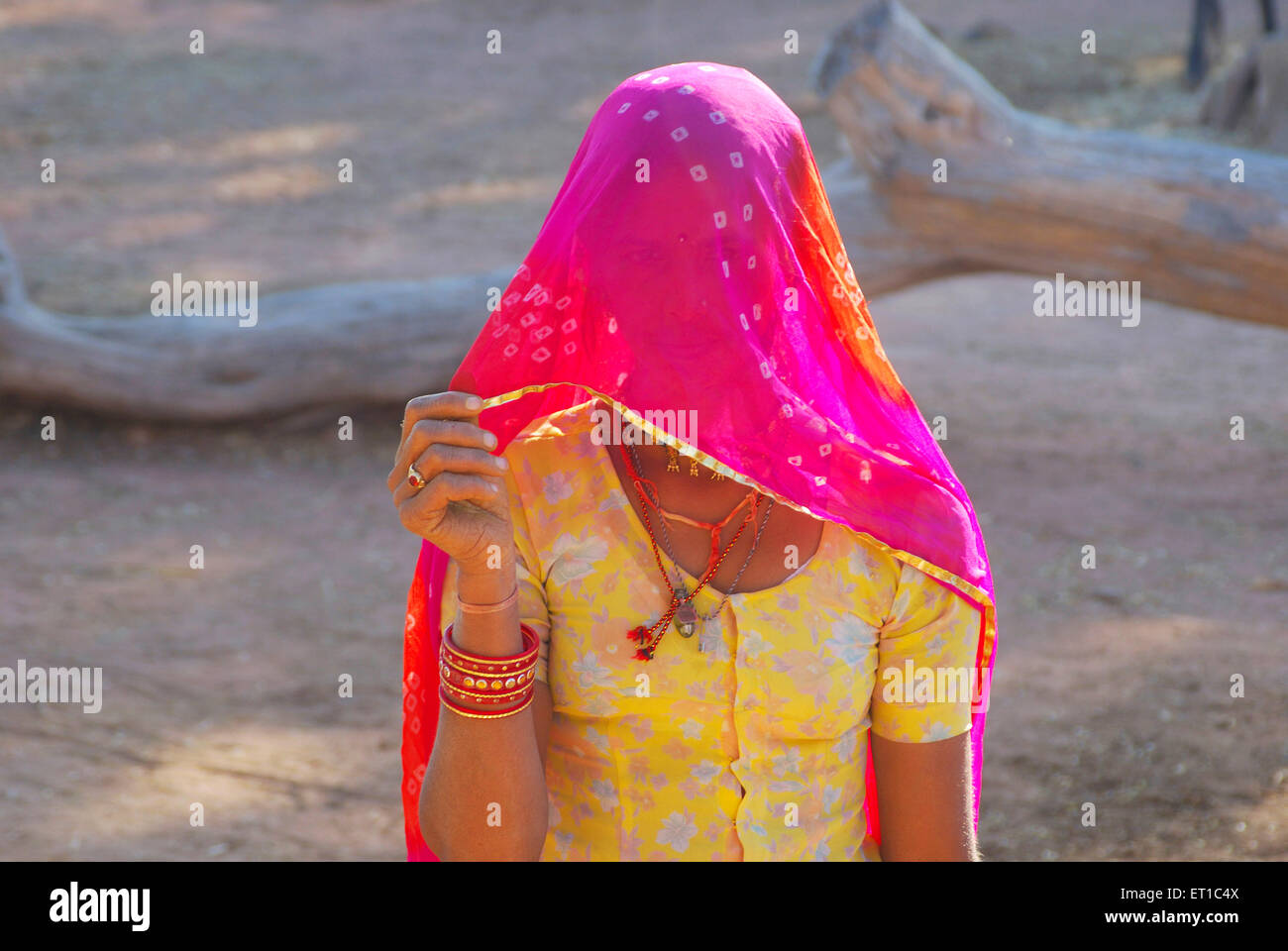 Rajasthani young woman in veil ; Mathania ; Jodhpur ; Rajasthan ; India
