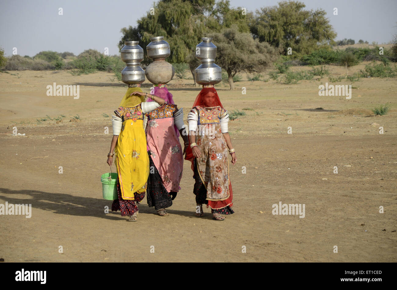 Women carrying water in Jaisalmer at Rajasthan India Stock Photo