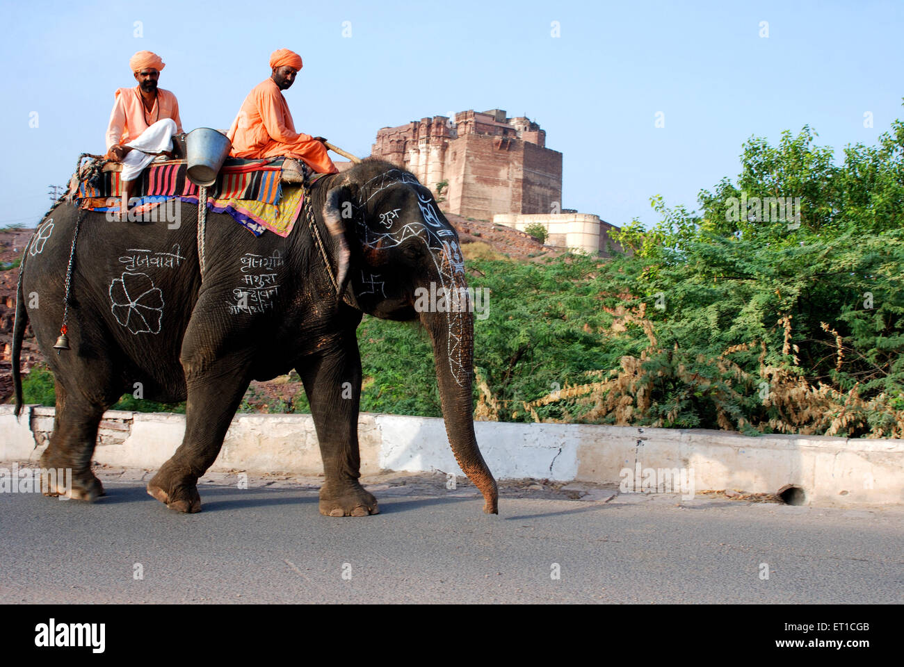 Sadhus sitting on elephant walking on road at Mehrangarh fort ; Jodhpur ; Rajasthan ; India Stock Photo