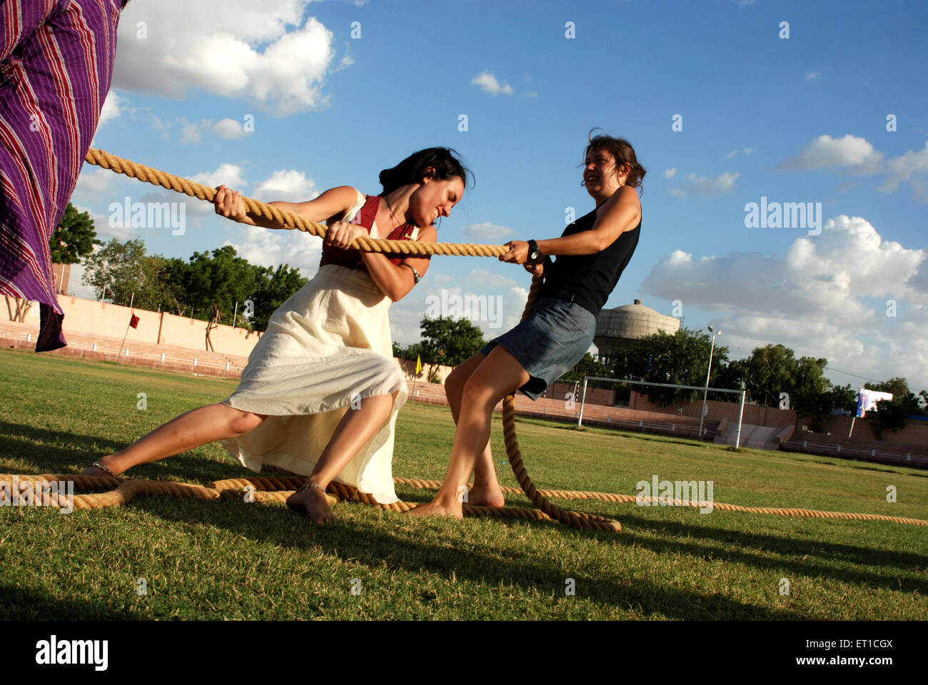 Foreigner ladies playing tug of war in marwar festival ; Jodhpur ; Rajasthan ; India Stock Photo
