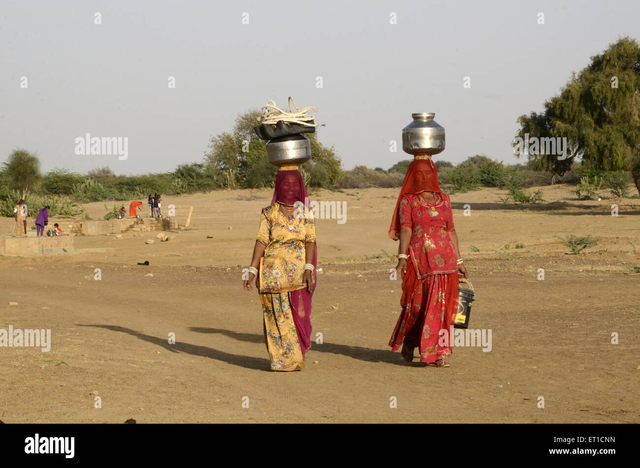 women carrying water in Jaisalmer at Rajasthan India Stock Photo