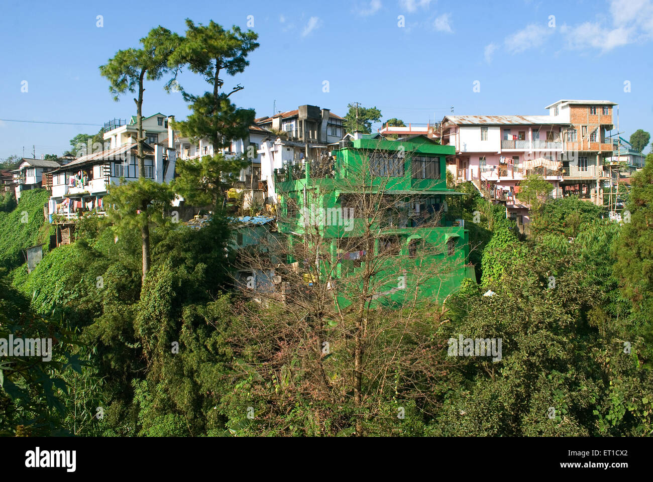 Houses surrounded by greenery ; Shillong ; Meghalaya ; India Stock Photo