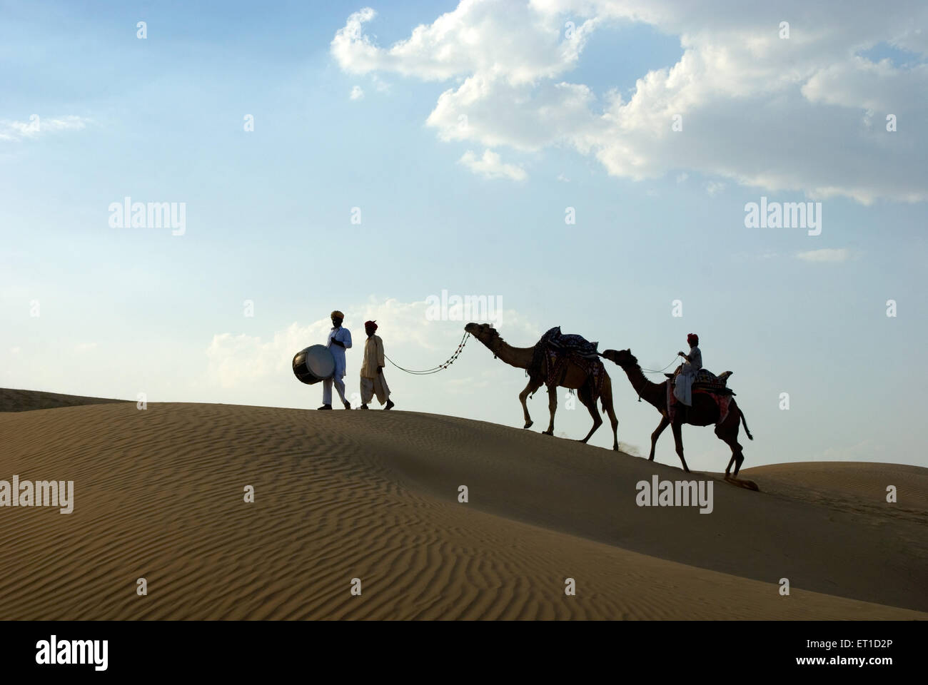 Men with camels walking on sand dune of khuhri ; Jaisalmer ; Rajasthan ; India Stock Photo