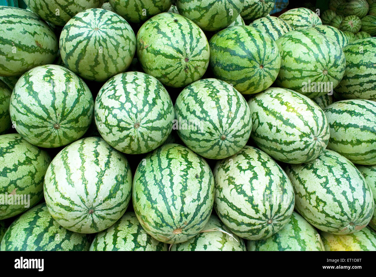 Watermelons in shop at market  ; Chennai ; Tamilnadu ; India Stock Photo