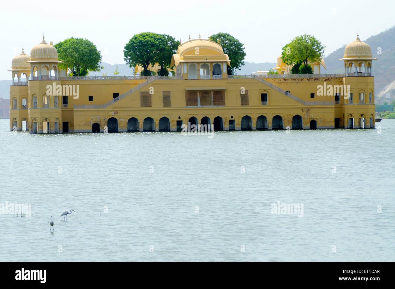 Jalmahal, Jal Mahal palace, Man Sagar Lake, Jaipur, Rajasthan, India Stock Photo