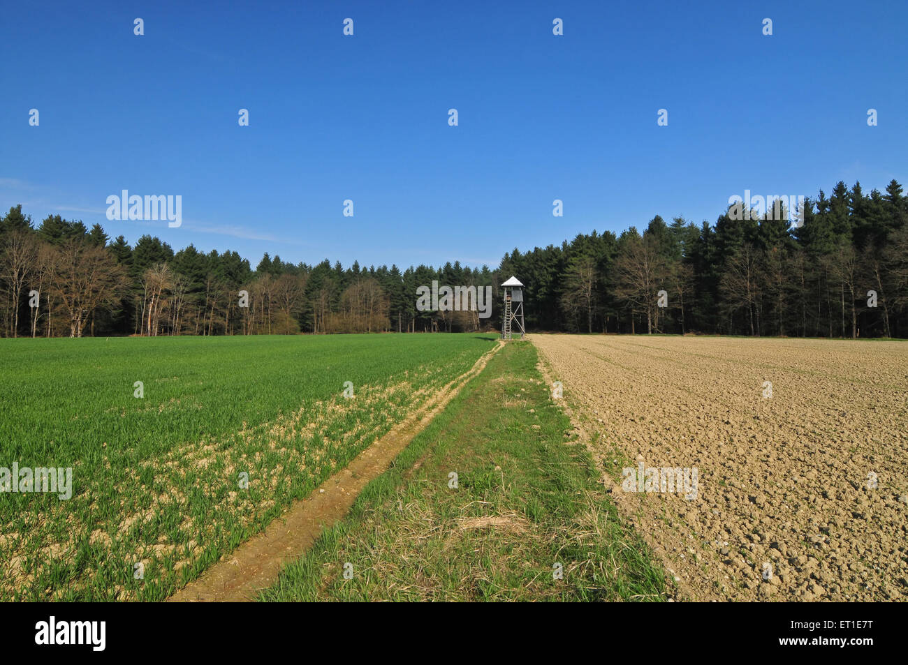 Hunting tower in a field Stock Photo