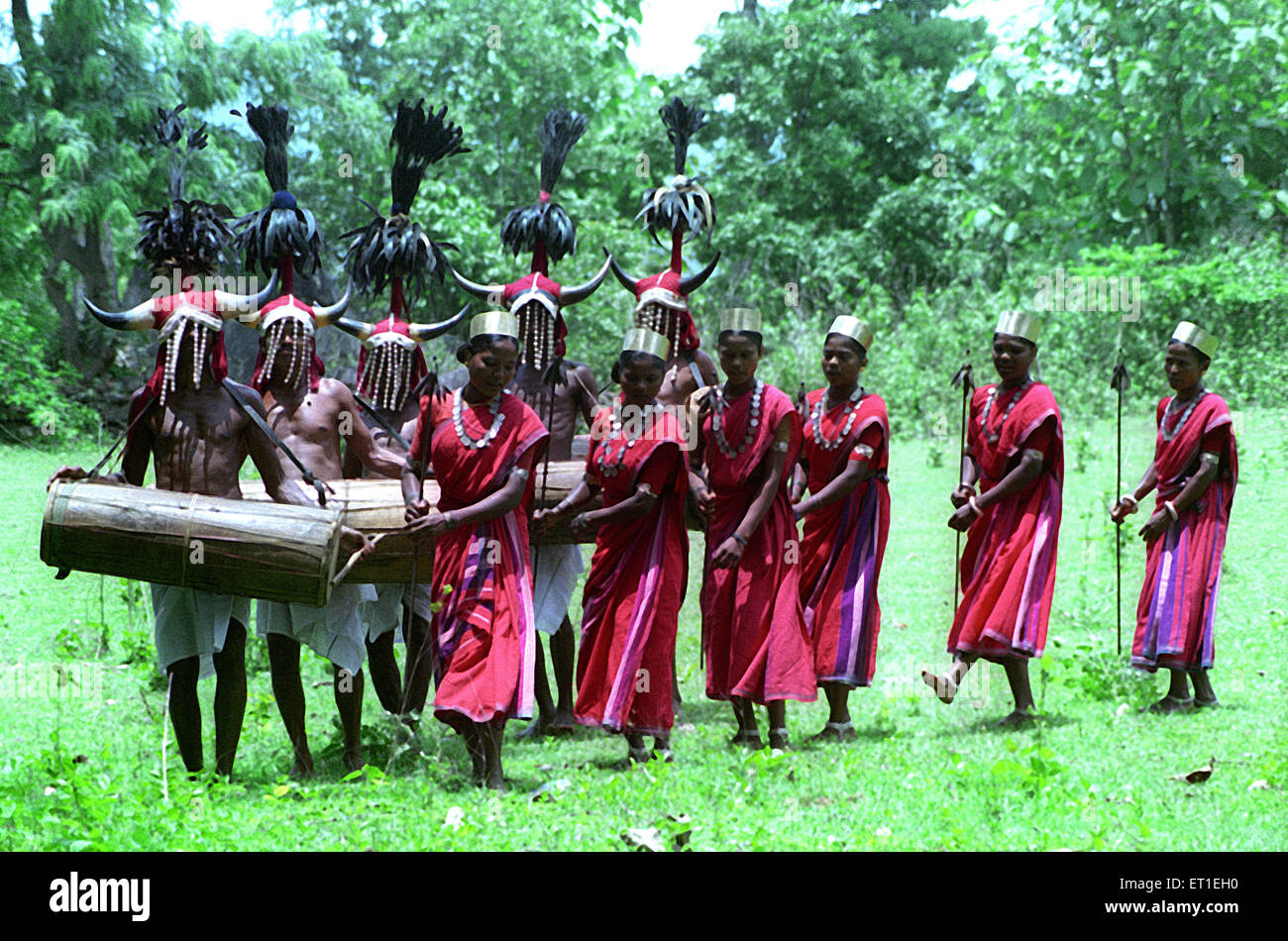 Tribal dance ; bison horn maria tribe dancing ; Bastar ; Chhattisgarh ; India Stock Photo