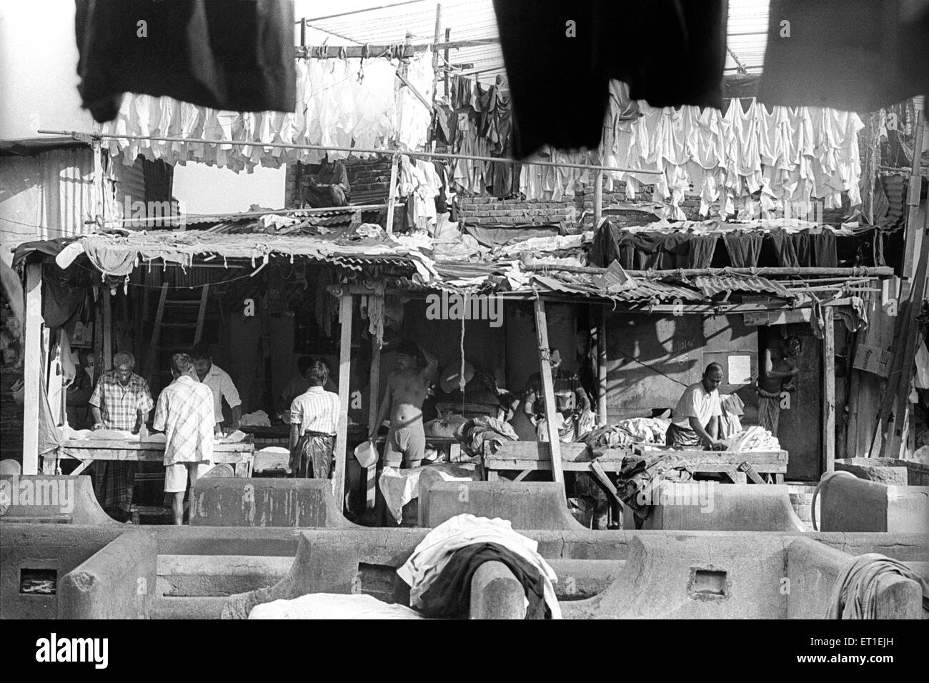 Washer men ; Dhobi Ghat ; Mahalaxmi ; Bombay ; Mumbai ; Maharashtra ; India Stock Photo