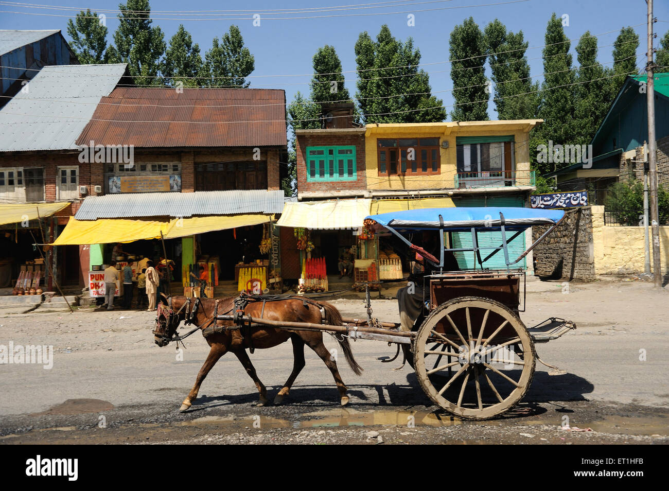 Tonga, Tanga, Horse cart, Kashmir, Jammu and Kashmir, Union Territory, UT, India, Asia, Asian, Indian Stock Photo