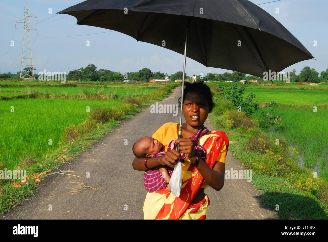 Ho tribes woman carrying child in cloth bag tied ; Chakradharpur ; Jharkhand ; India NO MR Stock Photo