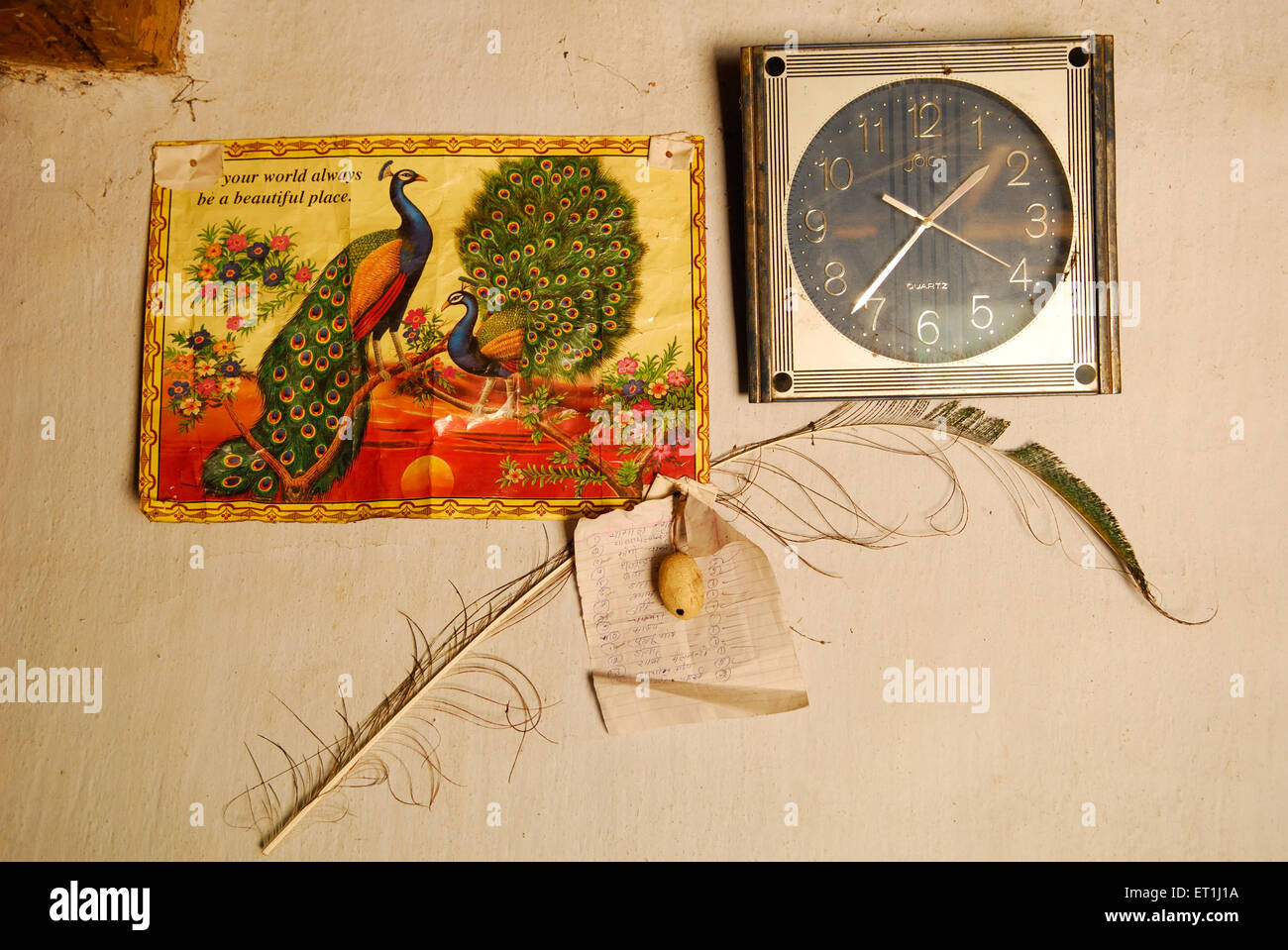 wall clock and peacock feather, Ho tribe, tribal people, Chakradharpur, West Singhbhum, Jharkhand, India, Asia Stock Photo