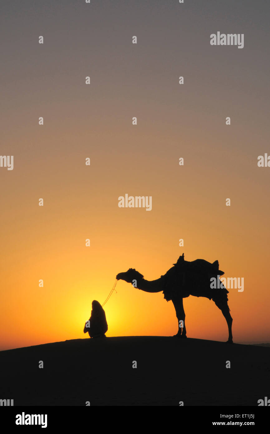 Glorious sunrise man with camel on sand dunes ; Jaisalmer ; Rajasthan ; India Stock Photo