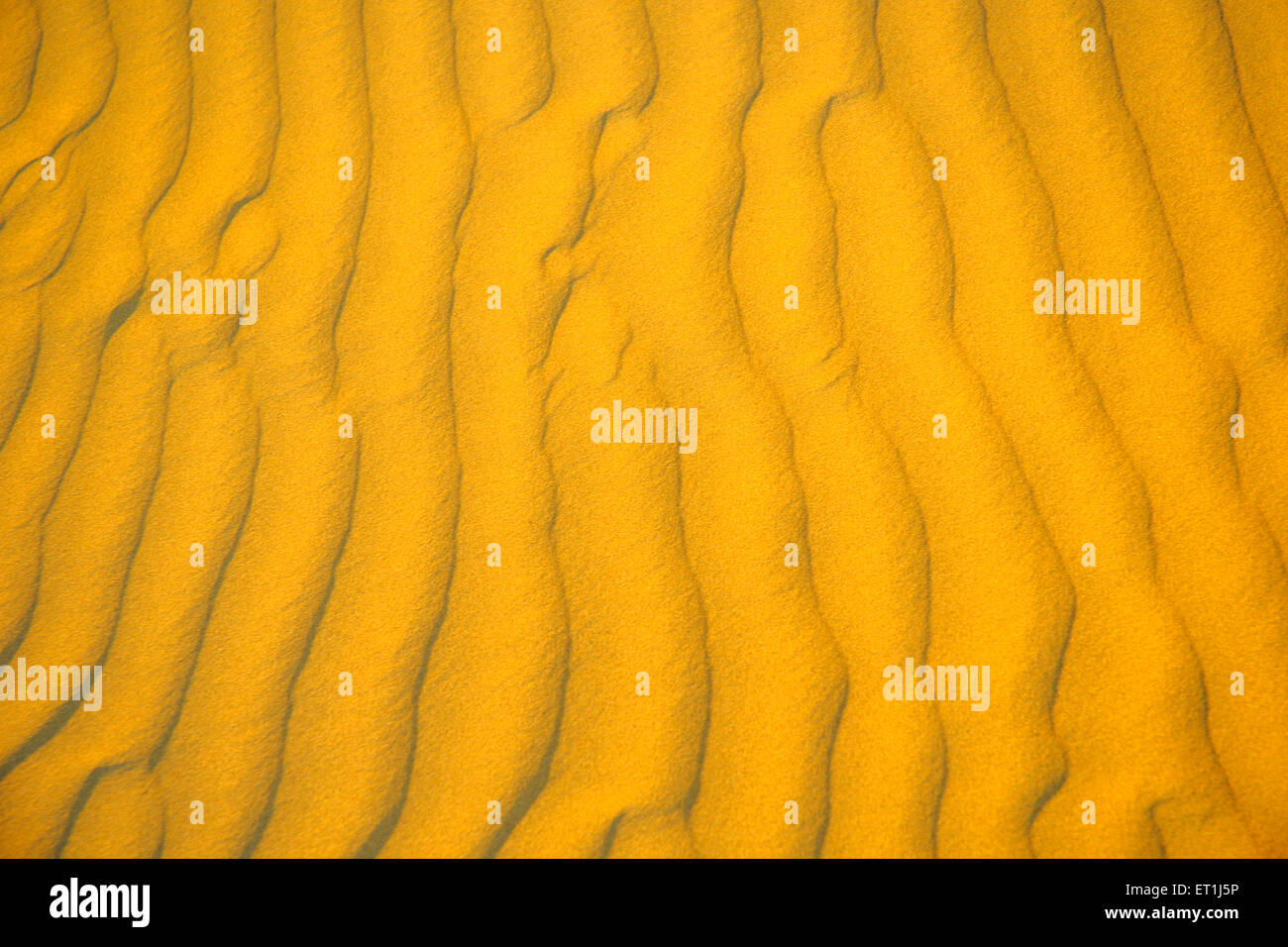 Sand Dunes, Sam desert, Thar desert, Sam, Jaisalmer, Rajasthan, India, Asia, Asian, Indian Stock Photo