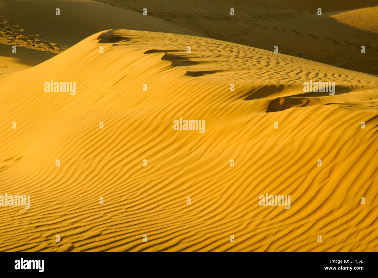 Sand Dunes, Sam desert, Thar desert, Sam, Jaisalmer, Rajasthan, India, Asia, Asian, Indian Stock Photo