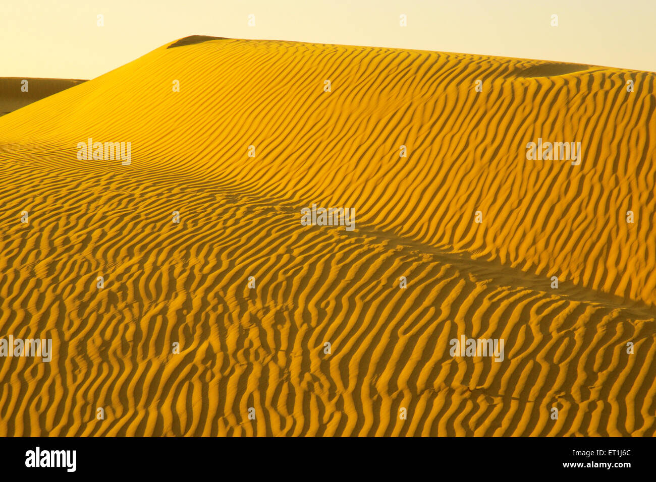 Sand Dunes, Sam desert, Thar desert, Sam, Jaisalmer, Rajasthan, India, Asia, Asian, Indian Stock Photo