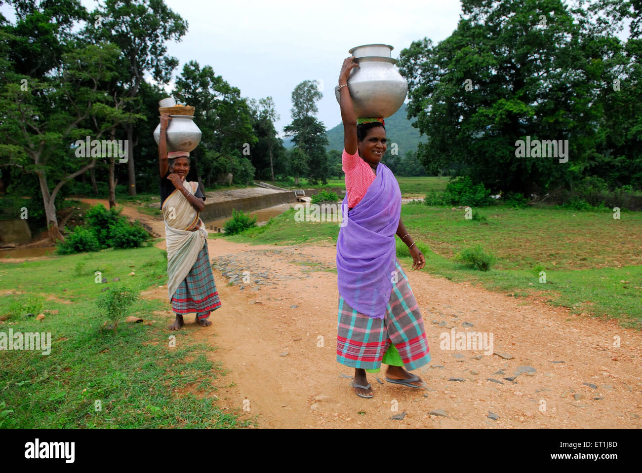 women carrying water pot, Ho tribe, tribal people, Chakradharpur, West Singhbhum, Jharkhand, India, Asia Stock Photo