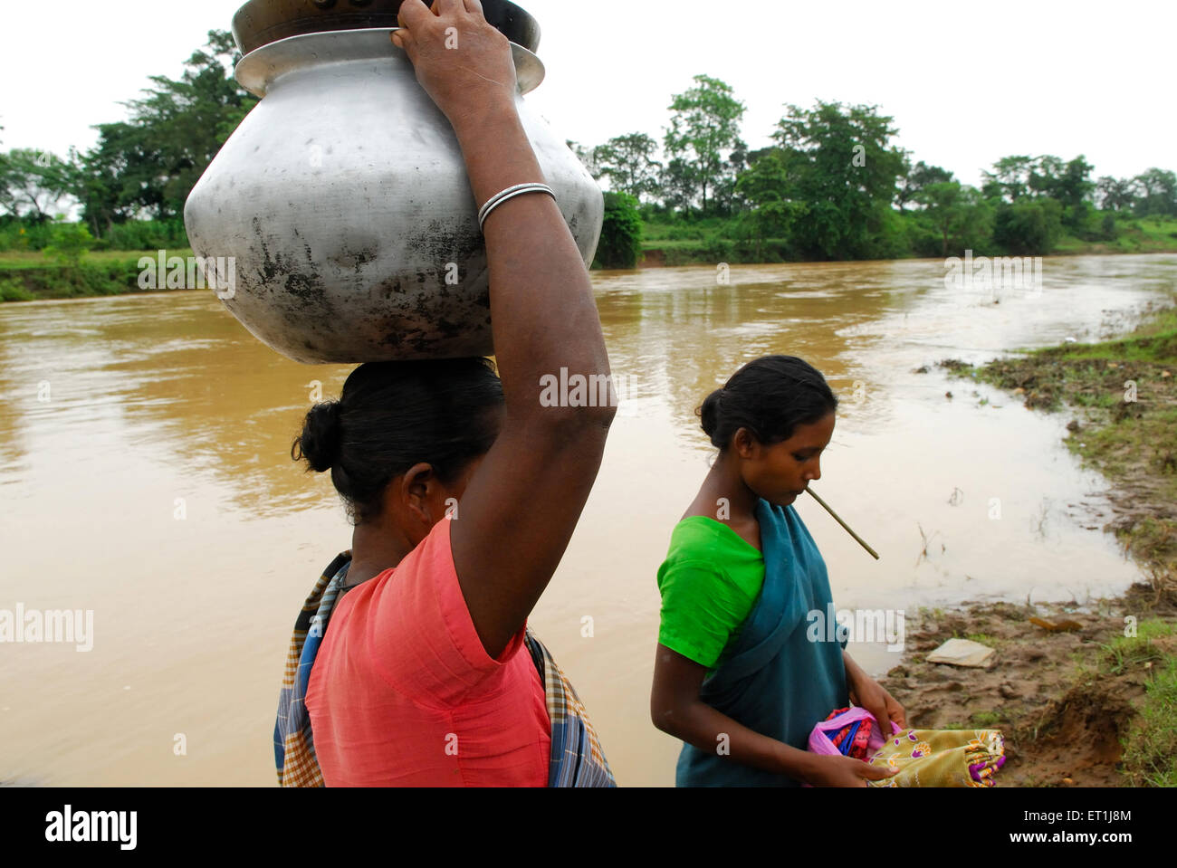 women carrying water pots, Ho tribe, tribal people, Chakradharpur, West Singhbhum, Jharkhand, India, Asia Stock Photo