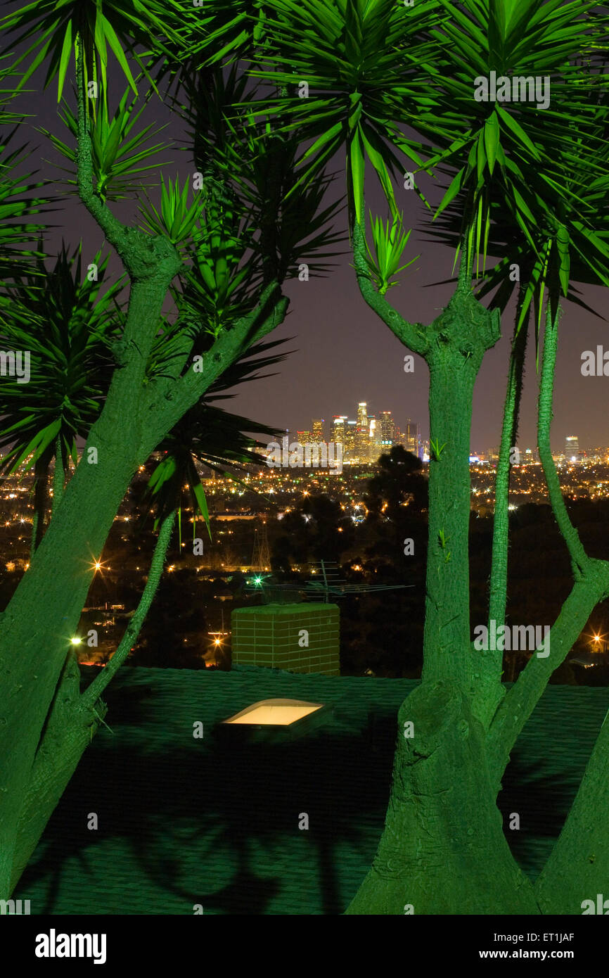 Los Angeles Cityscape Palm Trees Stock Photos &amp; Los ...