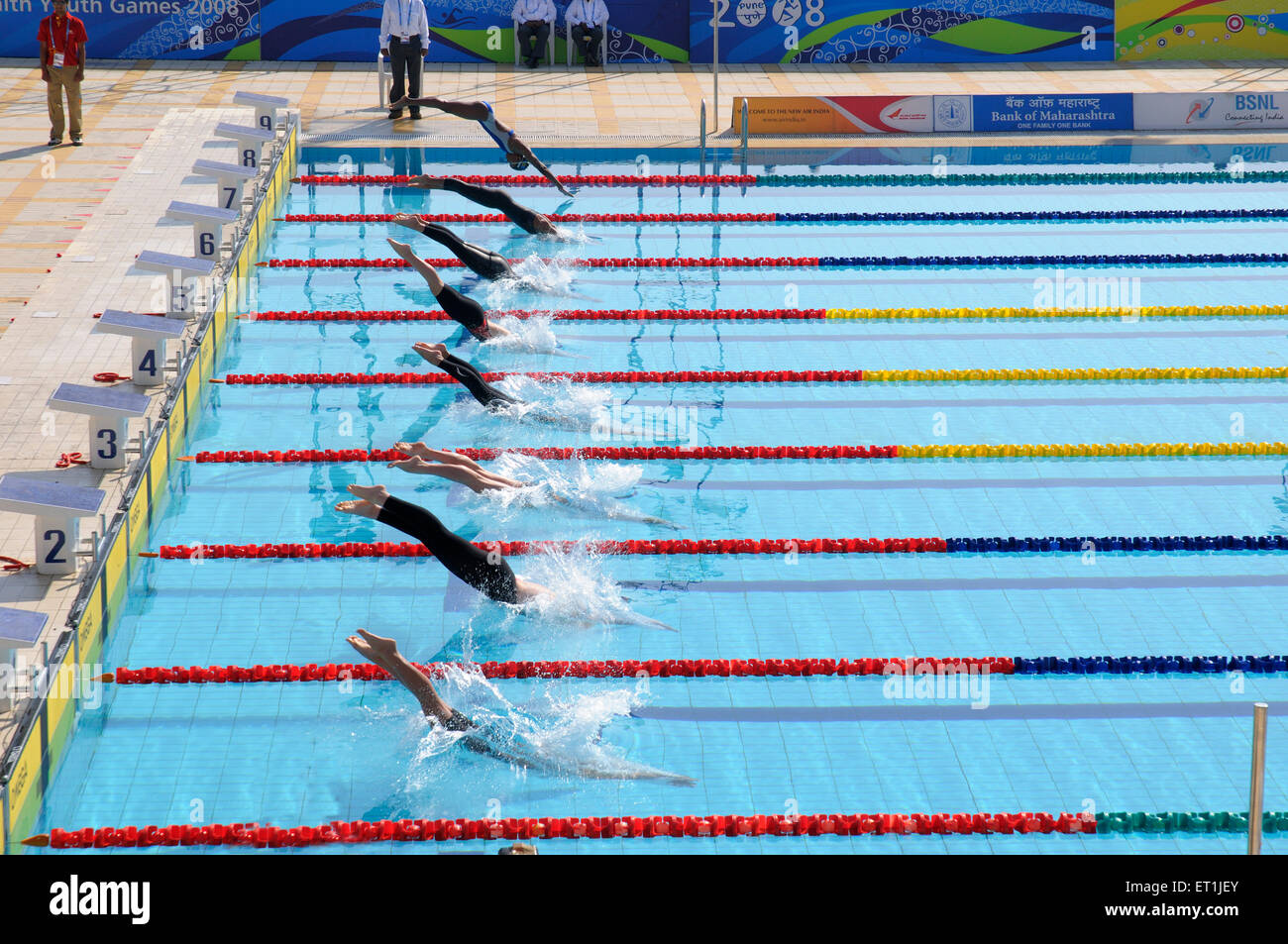 Swimmers diving in swimming pool of shree shiv chhatrapati sports complex ; Pune ; Maharashtra ; India Stock Photo