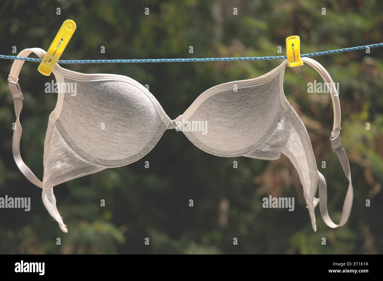 bra padded brassiere undergarment drying Stock Photo