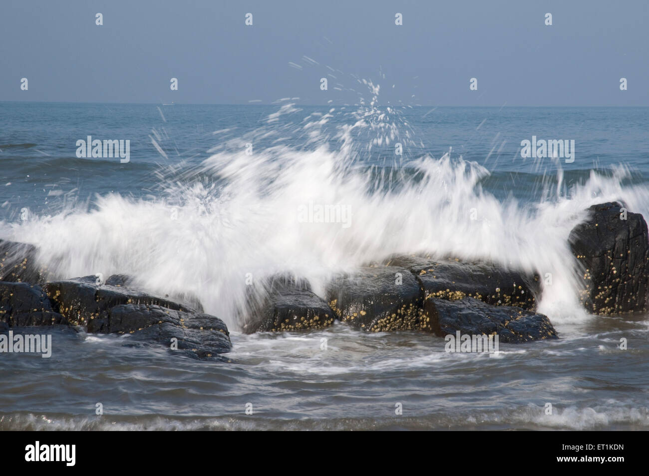Wave hitting rock beach hires stock photography and images Alamy