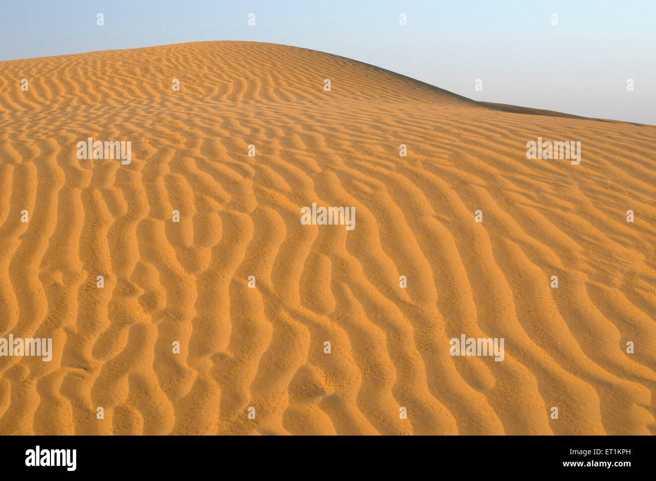 landscape of sand dunes Lakhamna Jaisalmer Rajasthan India Asia Stock