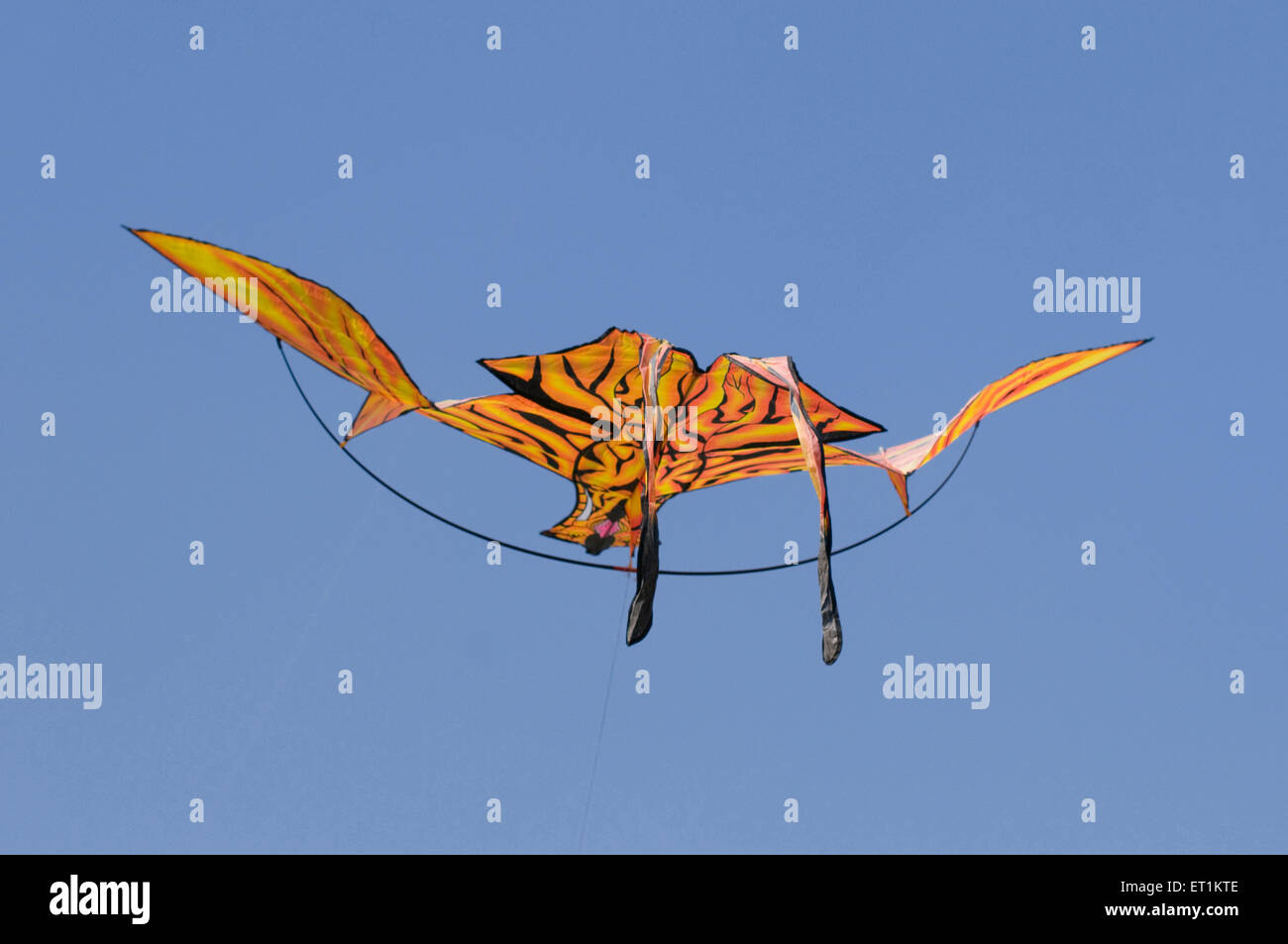 designed and coloured fancy kite flying Pune Maharashtra India Asia Stock Photo