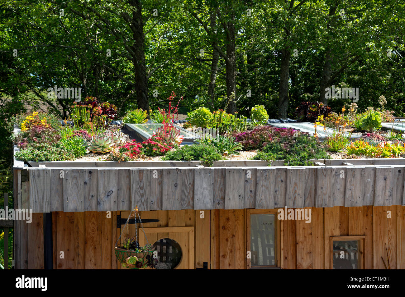 A roof garden of flowering plants at tremenheere sculpture gardens near
