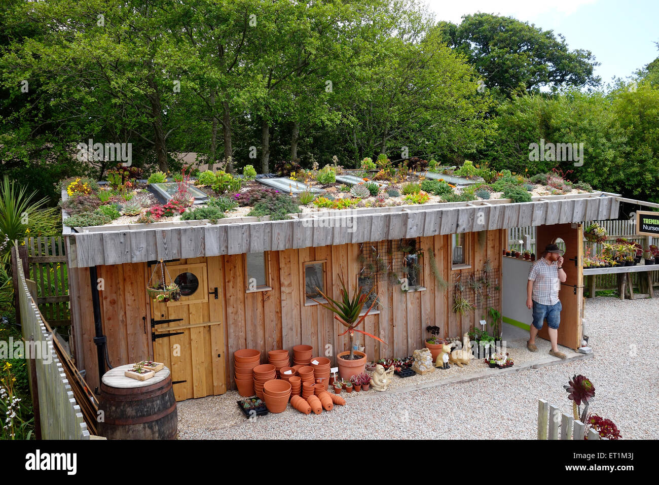 A roof garden of flowering plants at tremenheere sculpture gardens near