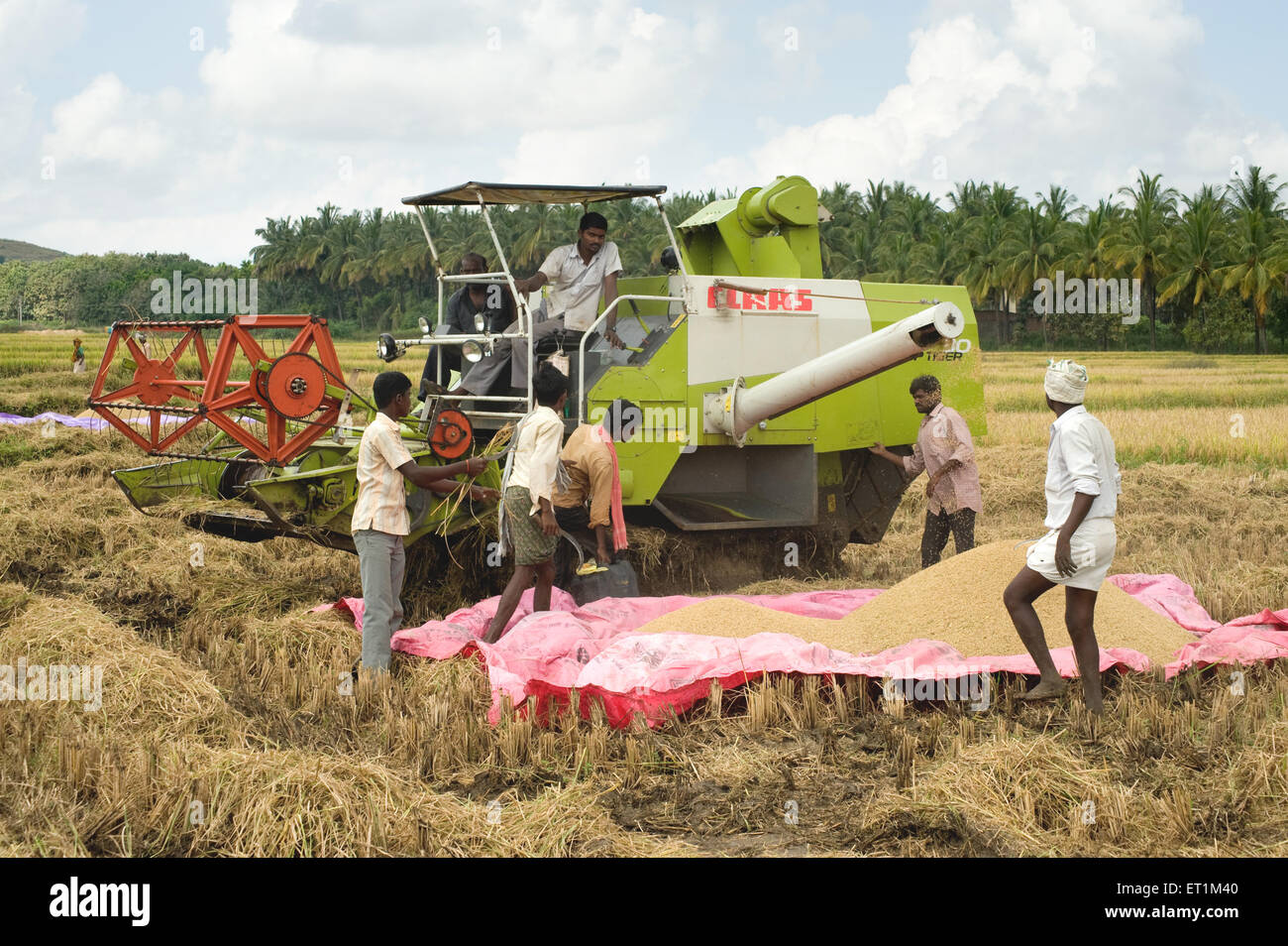 Thresher threshing rice Harihar Davanagere Karnataka India - stp 170180 Stock Photo
