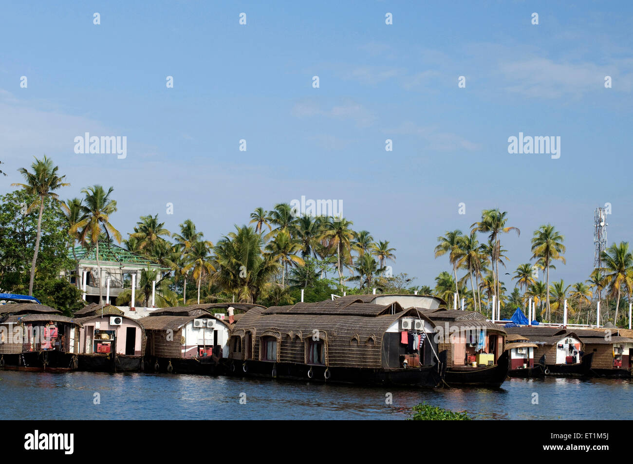 Several house boats parked in the backwaters of Alleppey Kerala India Asia Stock Photo