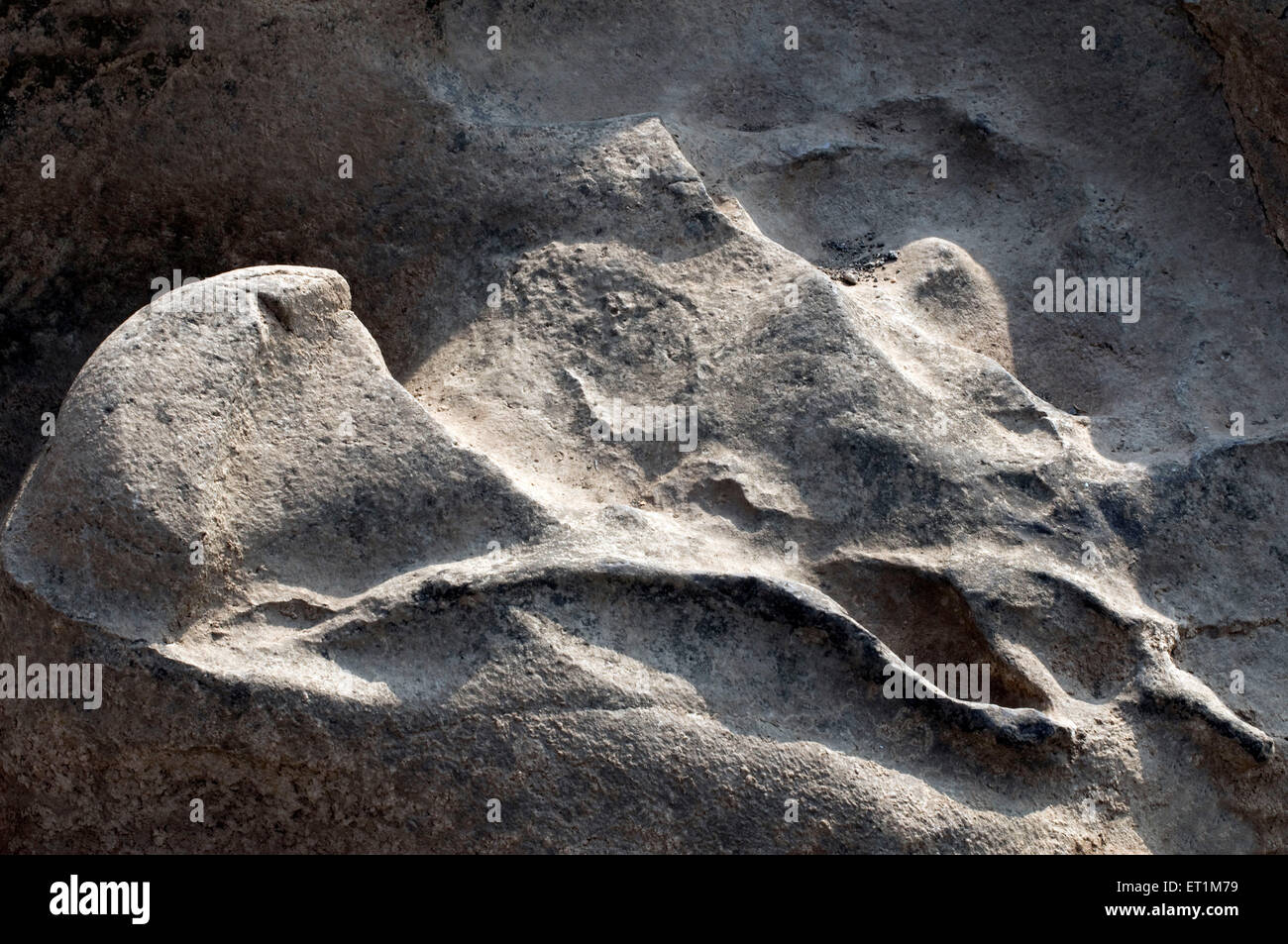 Abstract in the form of rock patterns Nighoj Maharashtra India Asia Stock Photo