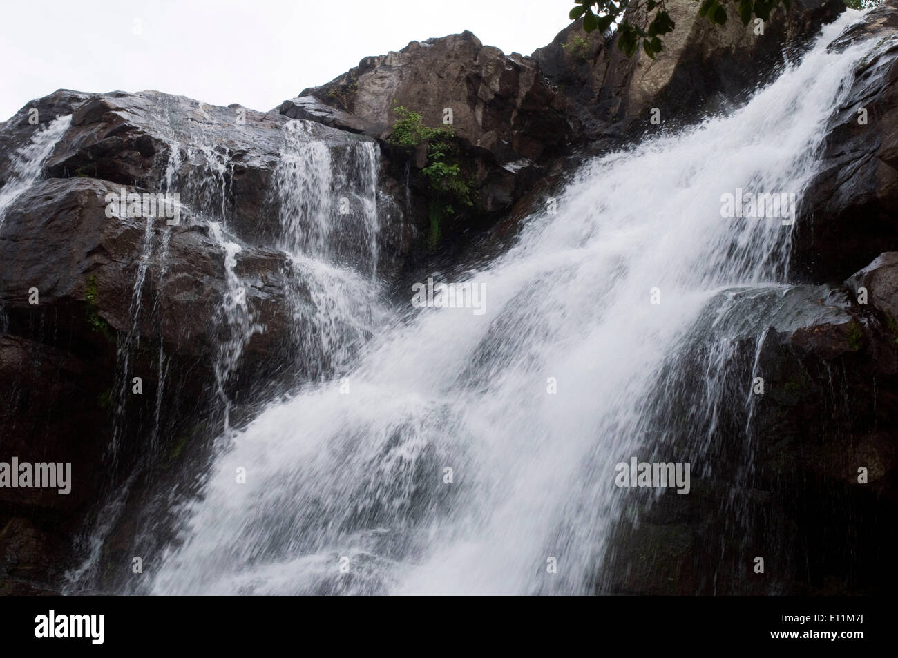 A Thoovanam waterfall over the rocks in tremendous speed  Munnar Kerala India Asia Stock Photo
