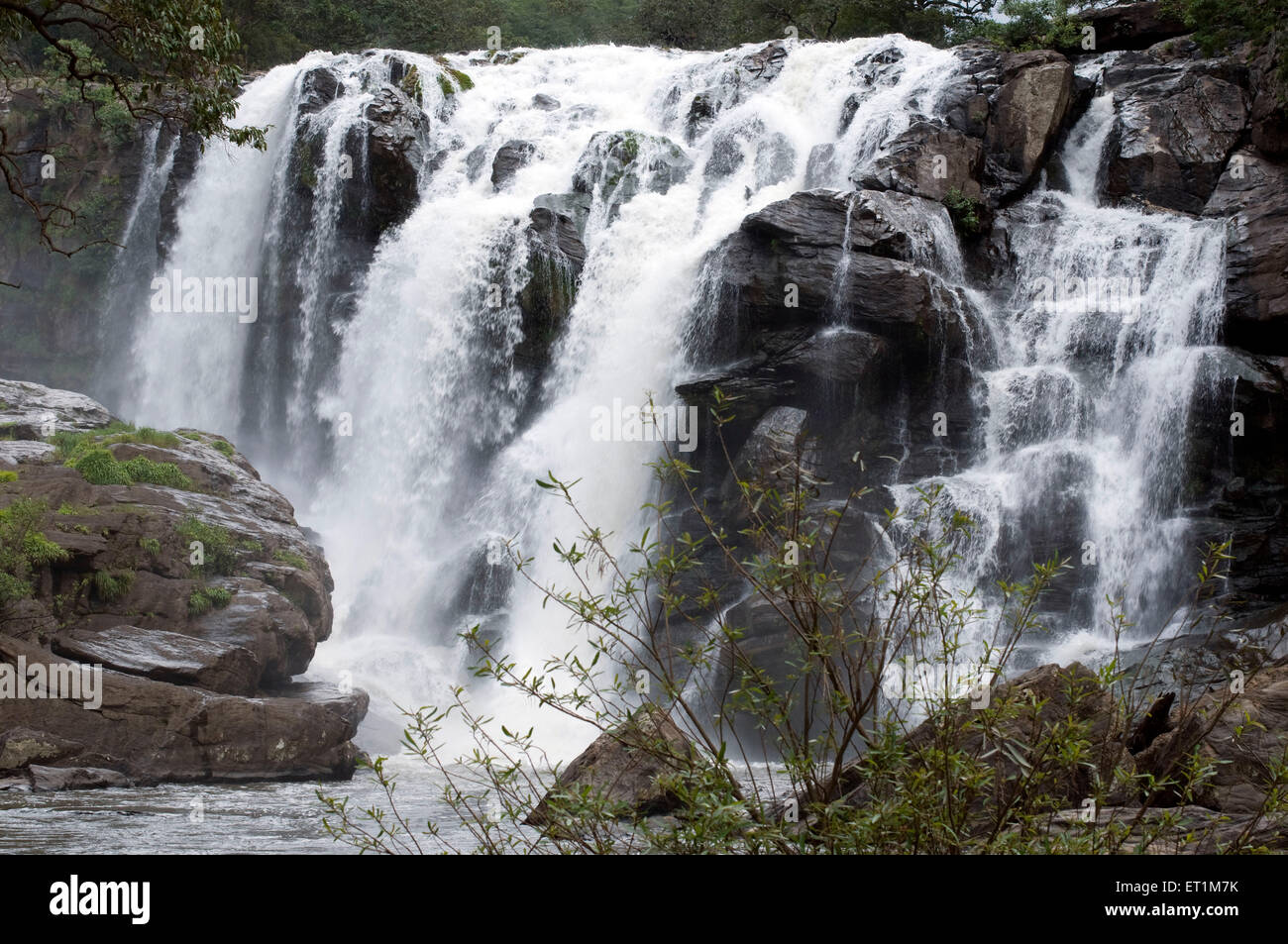A Thoovanam waterfall over the rocks in tremendous speed Munnar Kerala India Asia Stock Photo