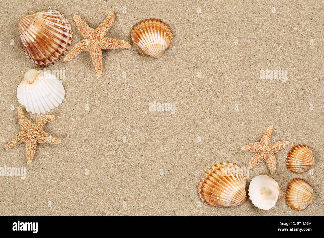 Beach scene in summer vacation holiday with sand, sea shells and stars and copyspace Stock Photo