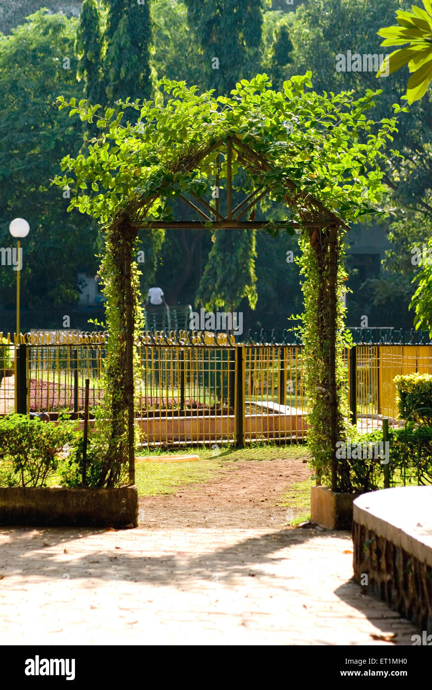 Gate decorated by green creeper at hanging garden ; Bombay Mumbai ; Maharashtra ; India Stock Photo