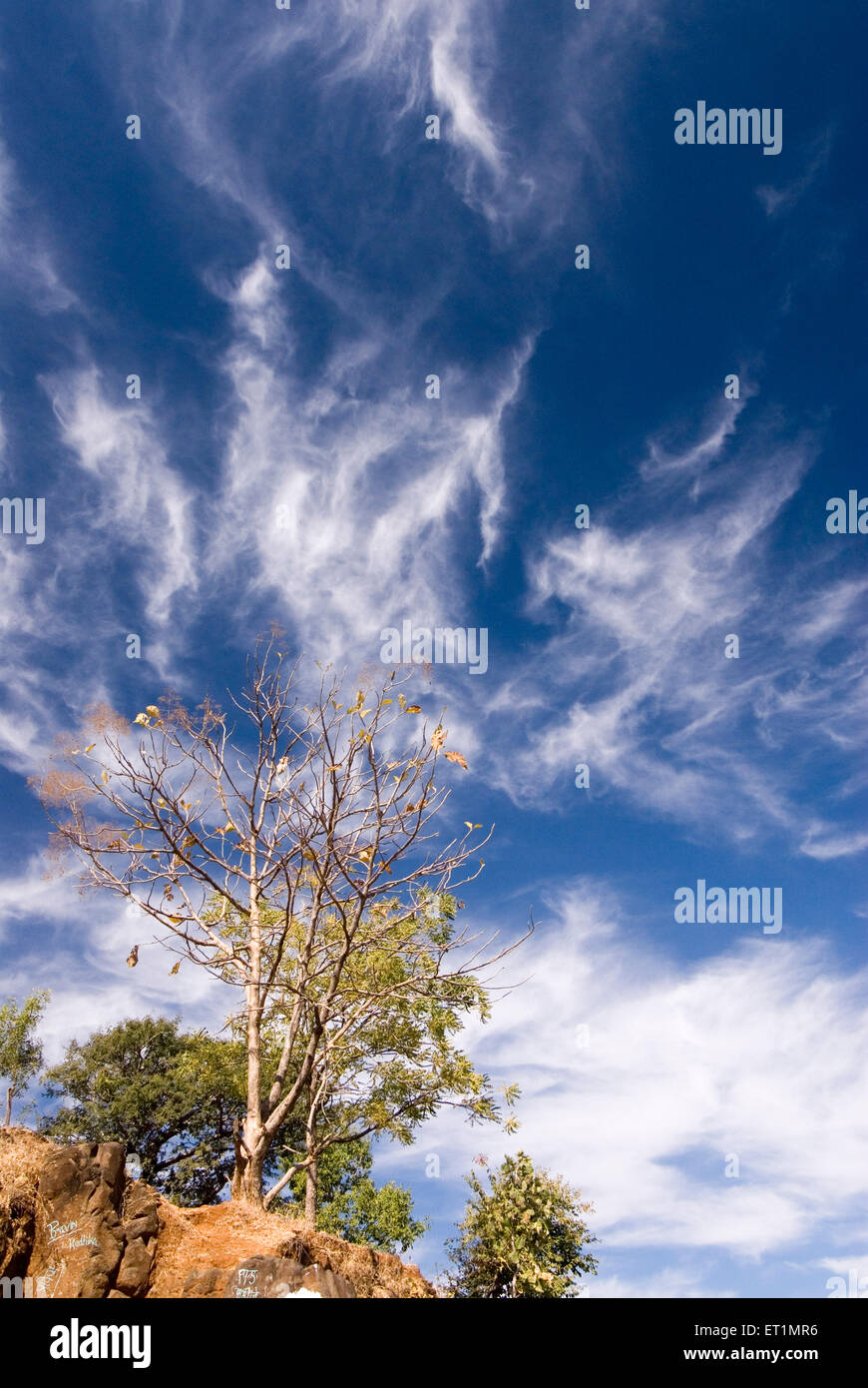 dancing white clouds blue sky, Satpura Range, Deccan plateau, Chikhaldara, hill station, Amravati, Maharashtra, India, Asia Stock Photo