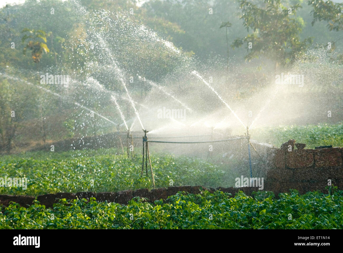 water sprinklers, irrigation sprinklers, water spray for agriculture