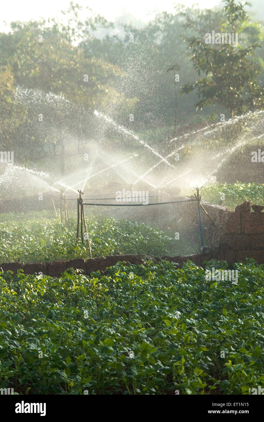 Dpa 159277 stp hires stock photography and images Alamy