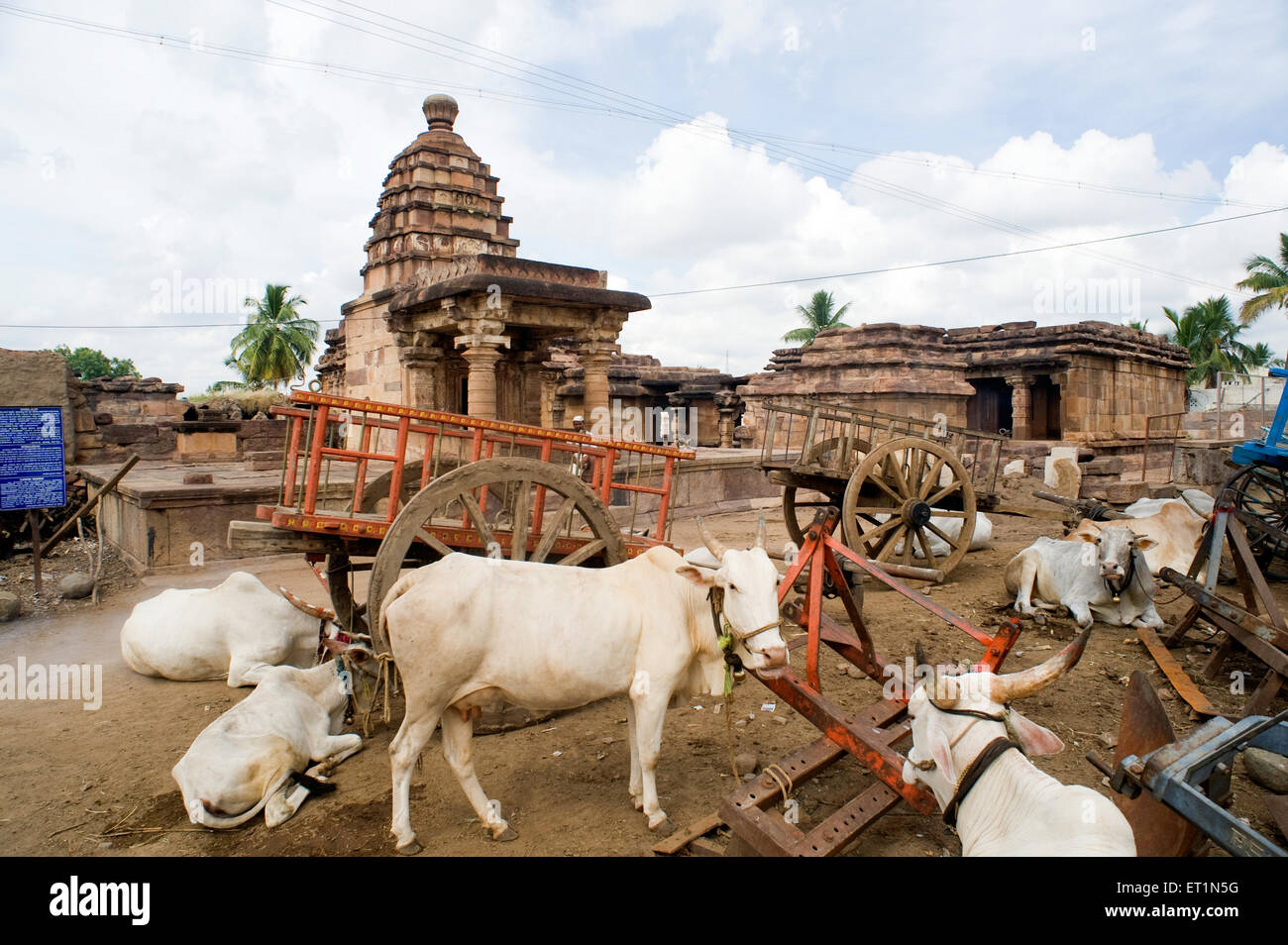 Cows and cart at temple ; Aihole ; Bagalkot ; Karnataka ; India Stock Photo