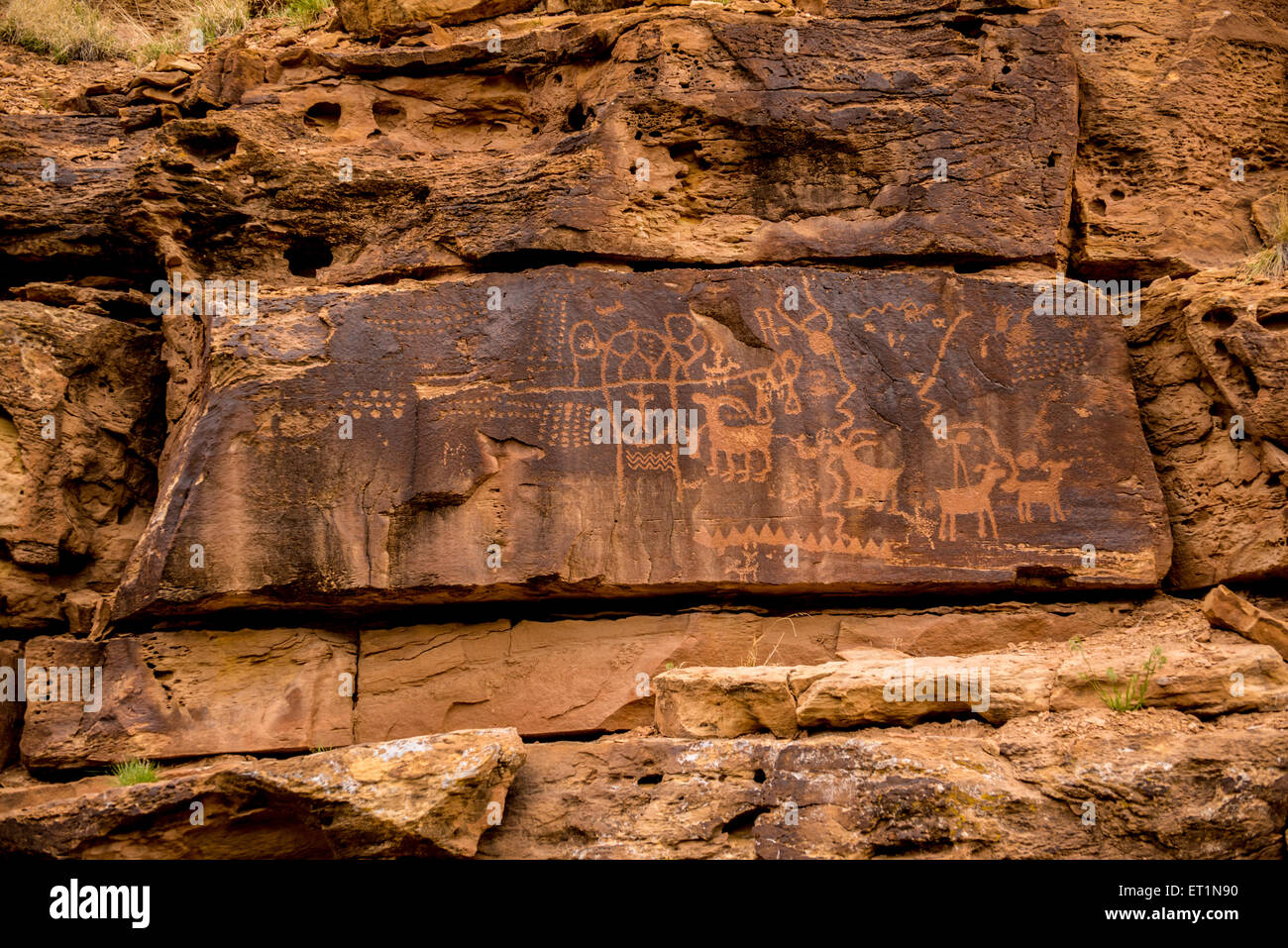 Petroglyphs Nine Mile Canyon, Utah Stock Photo Alamy