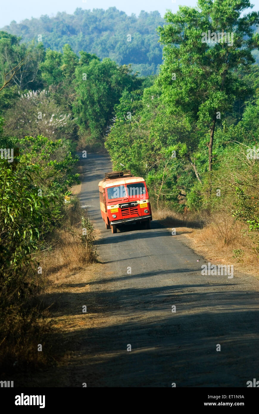 state transport bus on village road ; Lanja ; district Ratnagiri ; Maharashtra ; India Stock Photo