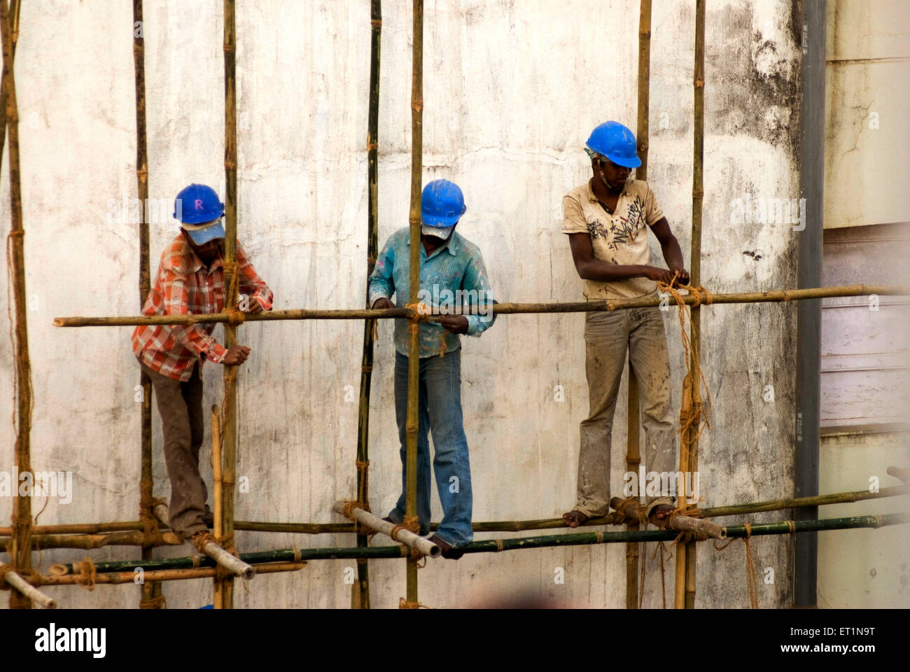 Construction workers tying bamboos with rope Stock Photo - Alamy