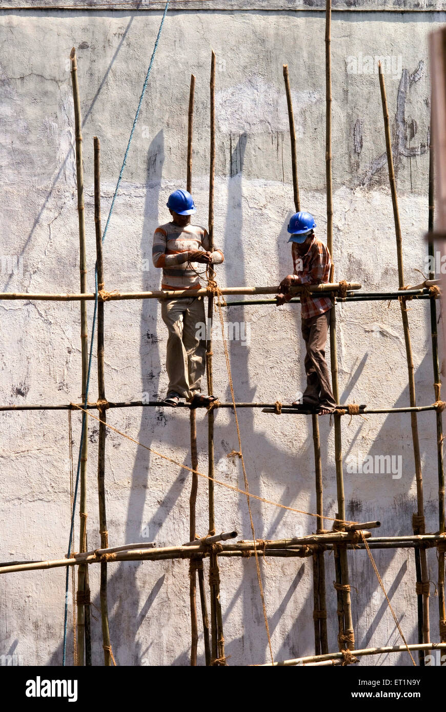 Construction workers tying bamboos with rope Stock Photo