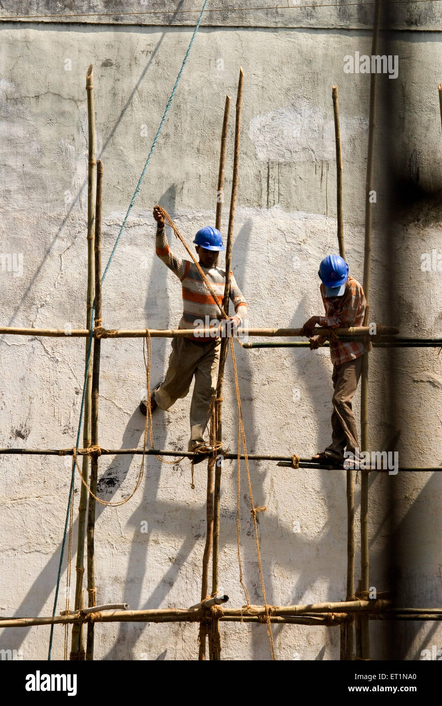 Construction workers tying bamboos with rope Stock Photo - Alamy