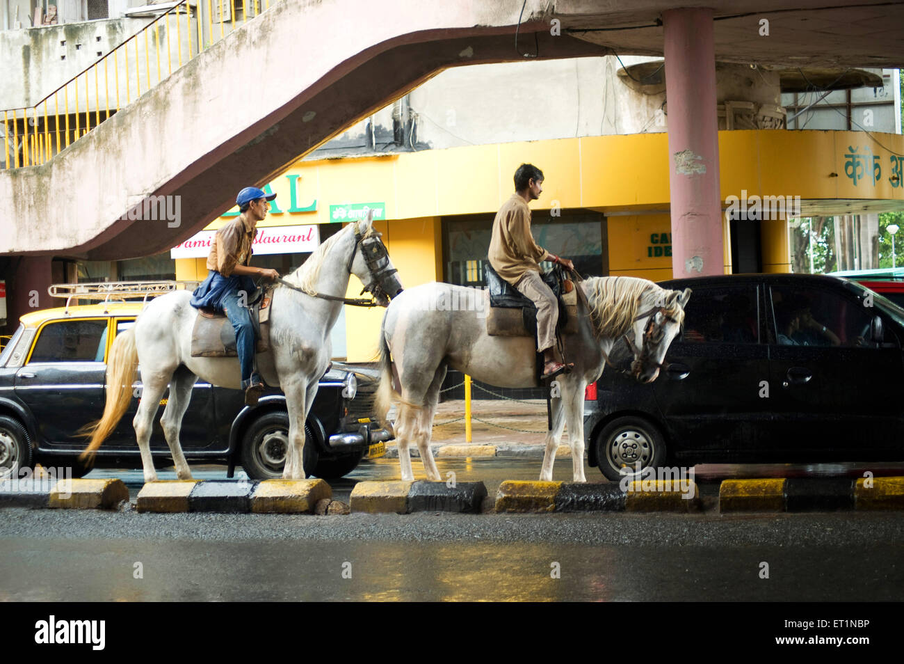 Two horses road Bombay Mumbai Maharashtra India Stock Photo Alamy