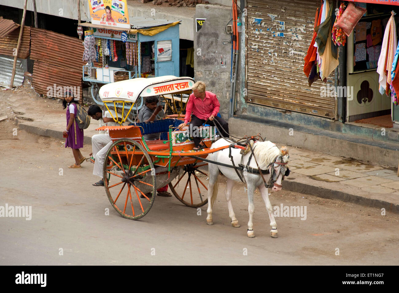 Horse cart at  ; Pandharpur district ; Solapur ; Maharashtra ; India Stock Photo