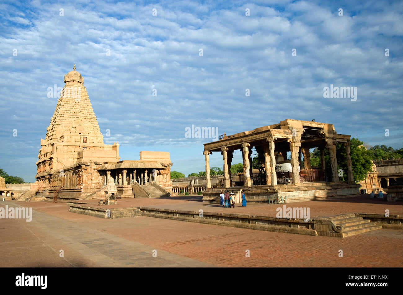 Decorative shiva brihadeshwara temple ; Thanjavur ; Tamil Nadu ...