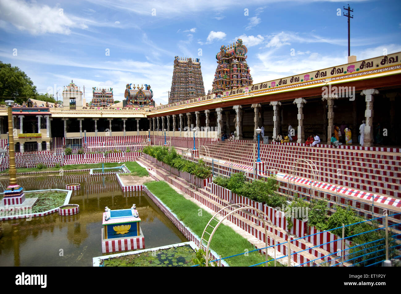 Golden lotus tank and gopurams  in sri meenakshi temple ; Madurai ; Tamil Nadu ; India Stock Photo