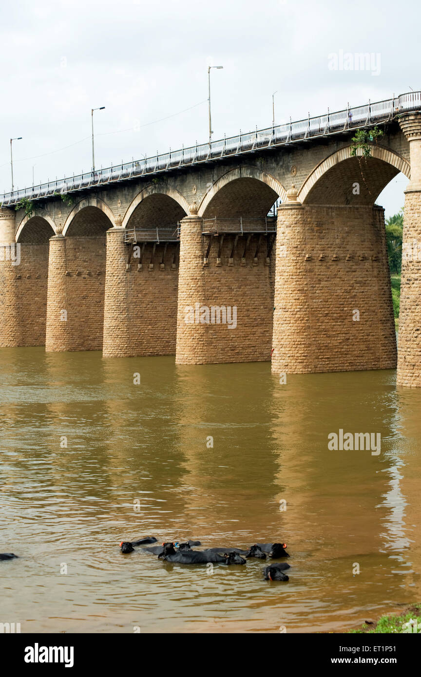 Bridge on river Krushna or Krishna river Sangli Maharashtra India Asia Stock Photo